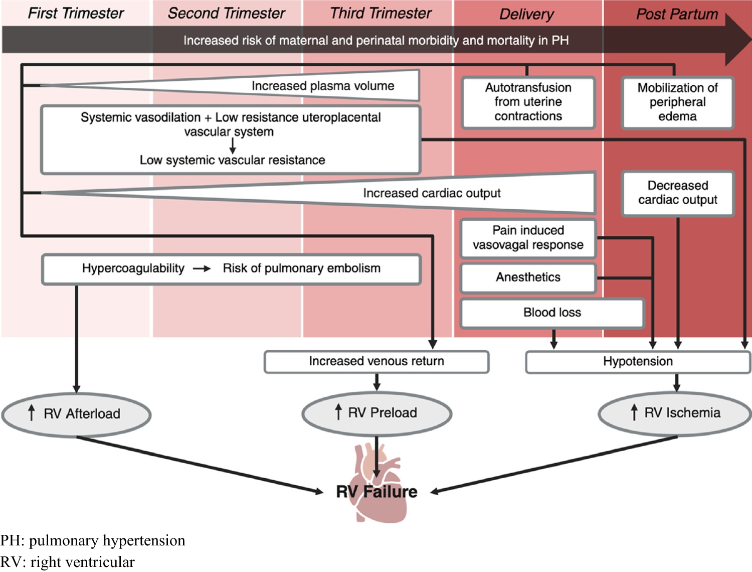 Diagnosis and Management of Pulmonary Hypertension in Pregnancy