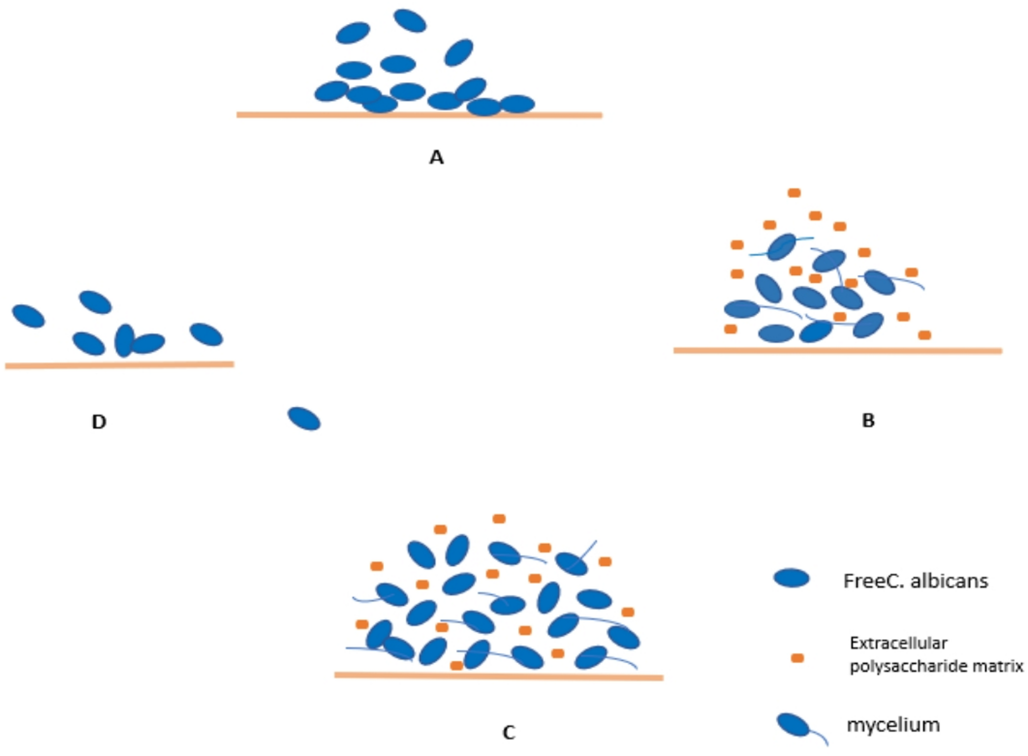 Current Progression in Nanomedicine for the Treatment of  Infections