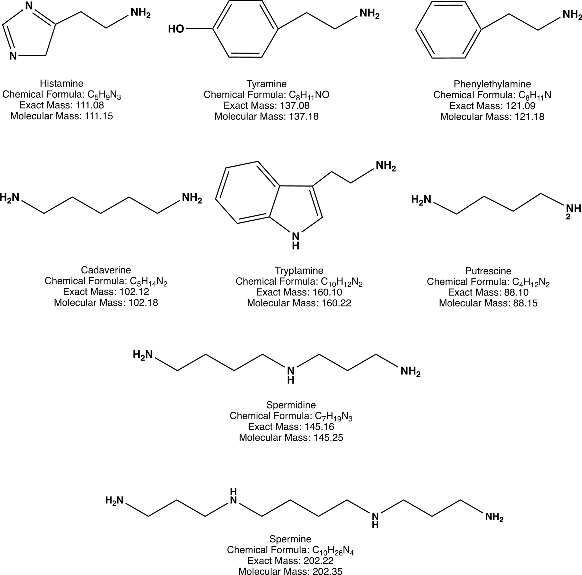 A fast and selective method to determine biogenic amines in beers using high-performance thin-layer chromatography