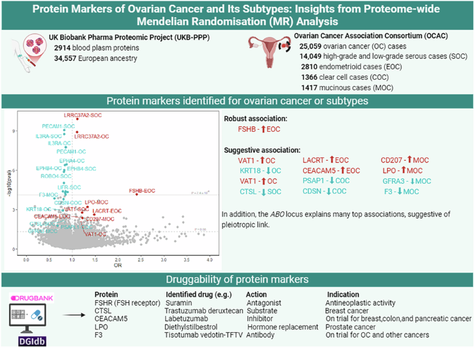 Protein markers of ovarian cancer and its subtypes: insights from proteome-wide Mendelian randomisation analysis