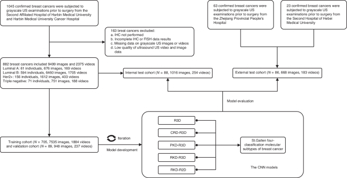 Relation knowledge distillation 3D-ResNet-based deep learning for breast cancer molecular subtypes prediction on ultrasound videos: a multicenter study