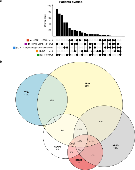 Refining treatment strategies for non-small cell lung cancer lacking actionable mutations: insights from multi-omics studies