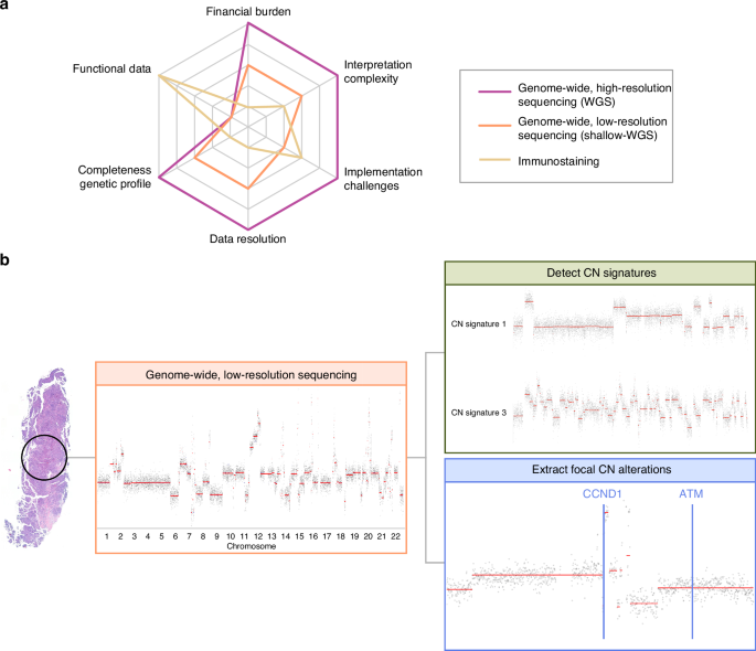 Capturing breast cancers’ copy-number landscape in routine pathology: Exploiting low-resolution, genome-wide sequencing to identify HRD and beyond