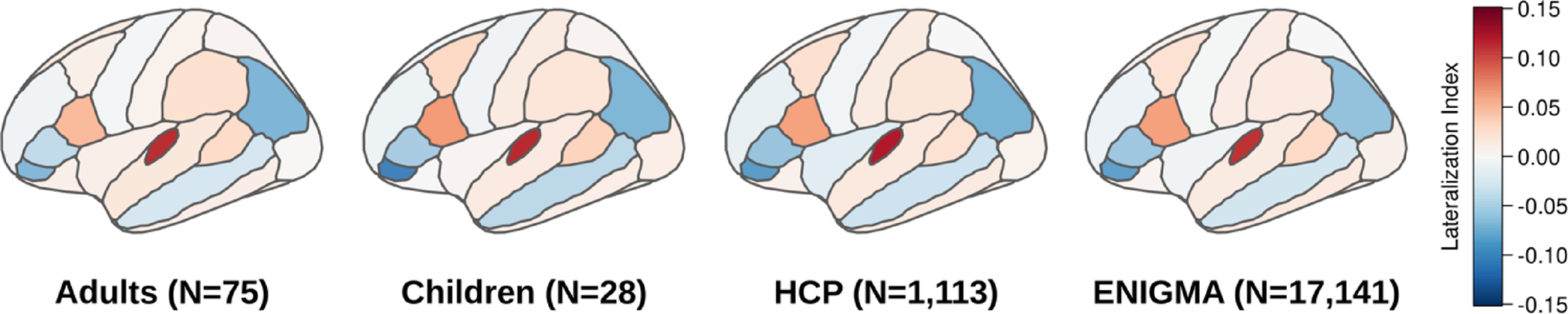 Systematic bias in surface area asymmetry measurements from automatic cortical parcellations
