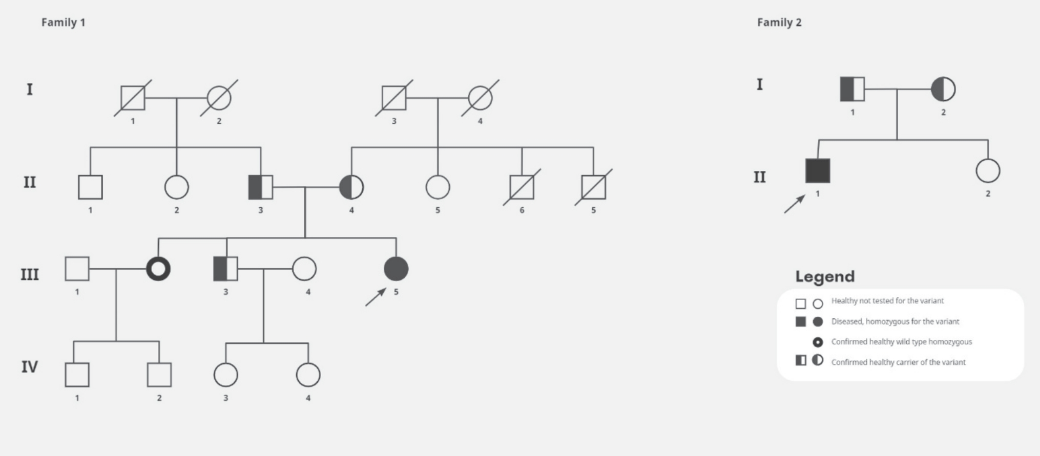 Ataxia and oculomotor apraxia caused by a large-scale deletion in the senataxin gene