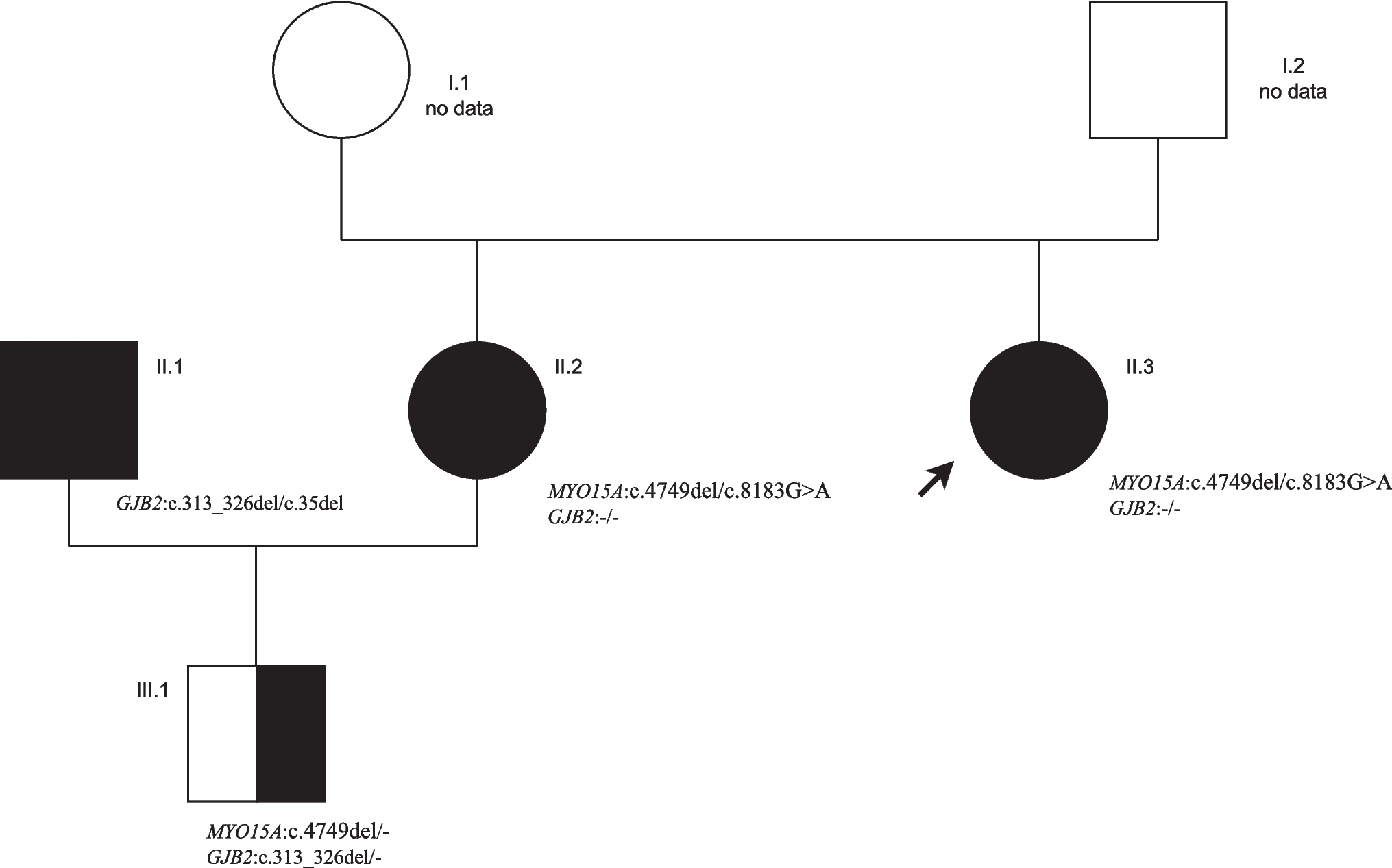 NGS sequencing reveals the cause of hearing loss in a group of Polish patients with an isolated, non-DFNB1 hearing loss