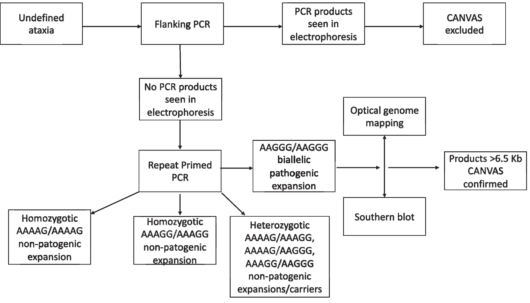 Prevalence of intronic repeat expansions in the  gene in Polish patients with cerebellar syndrome