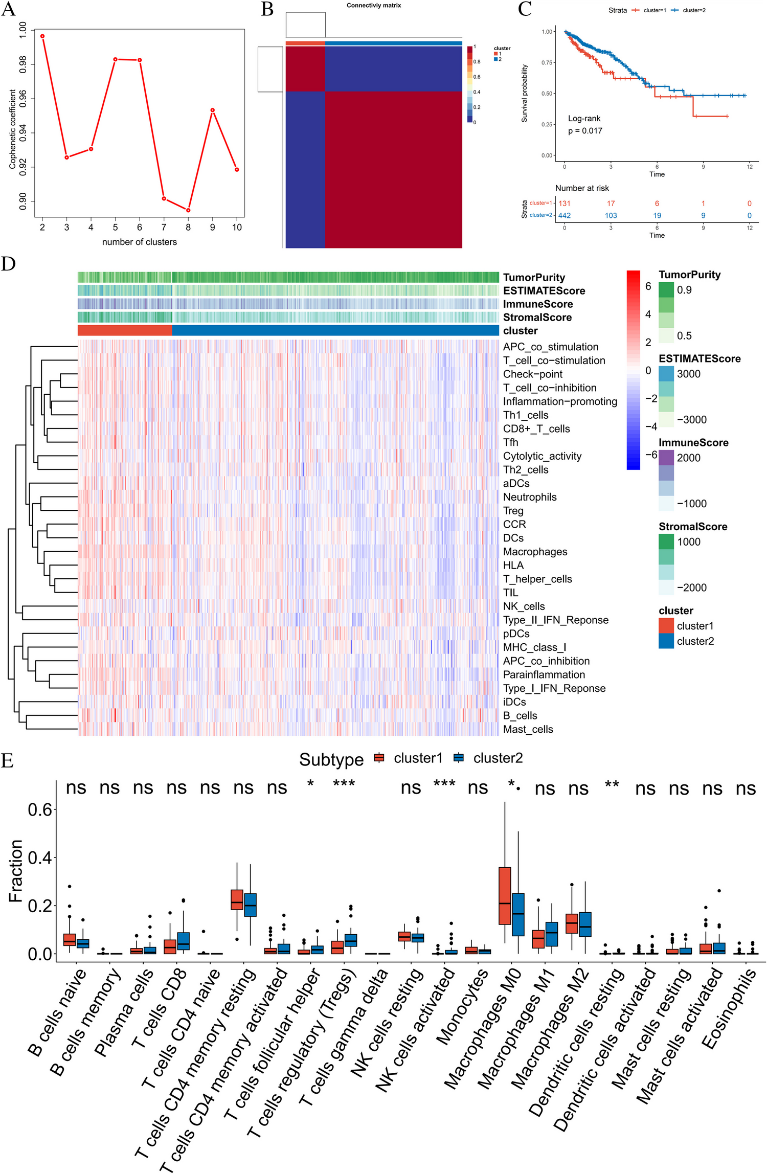 Identification of colorectal cancer molecular subtypes and prognostic features based on basement membrane-related genes