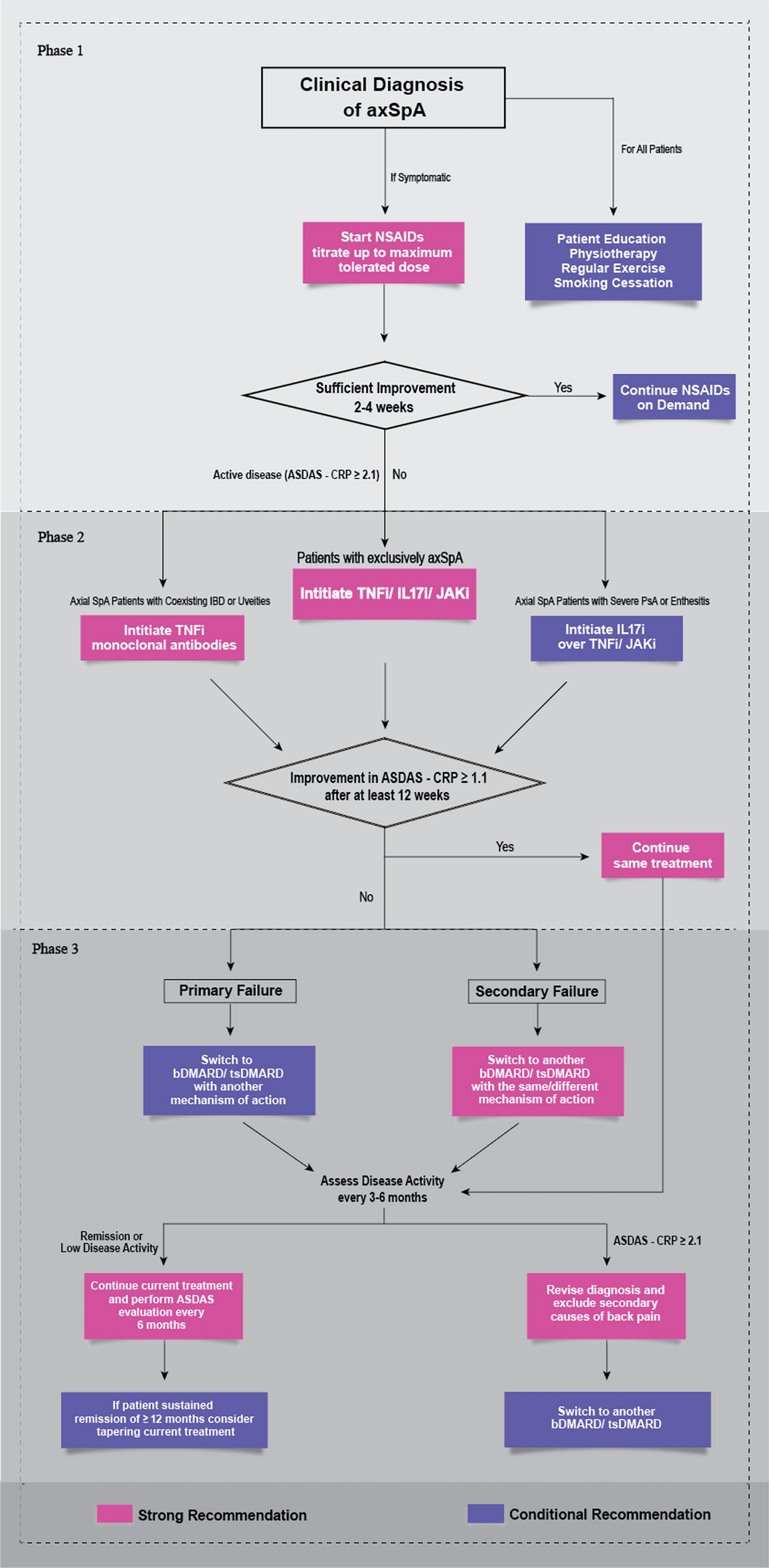Saudi Clinical Practice Guidelines for Management of Axial Spondyloarthritis Disease