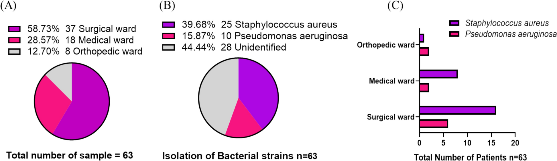 Molecular insights in potentiation of antibiotic activity by apple cider vinegar in diabetic wound pathogens