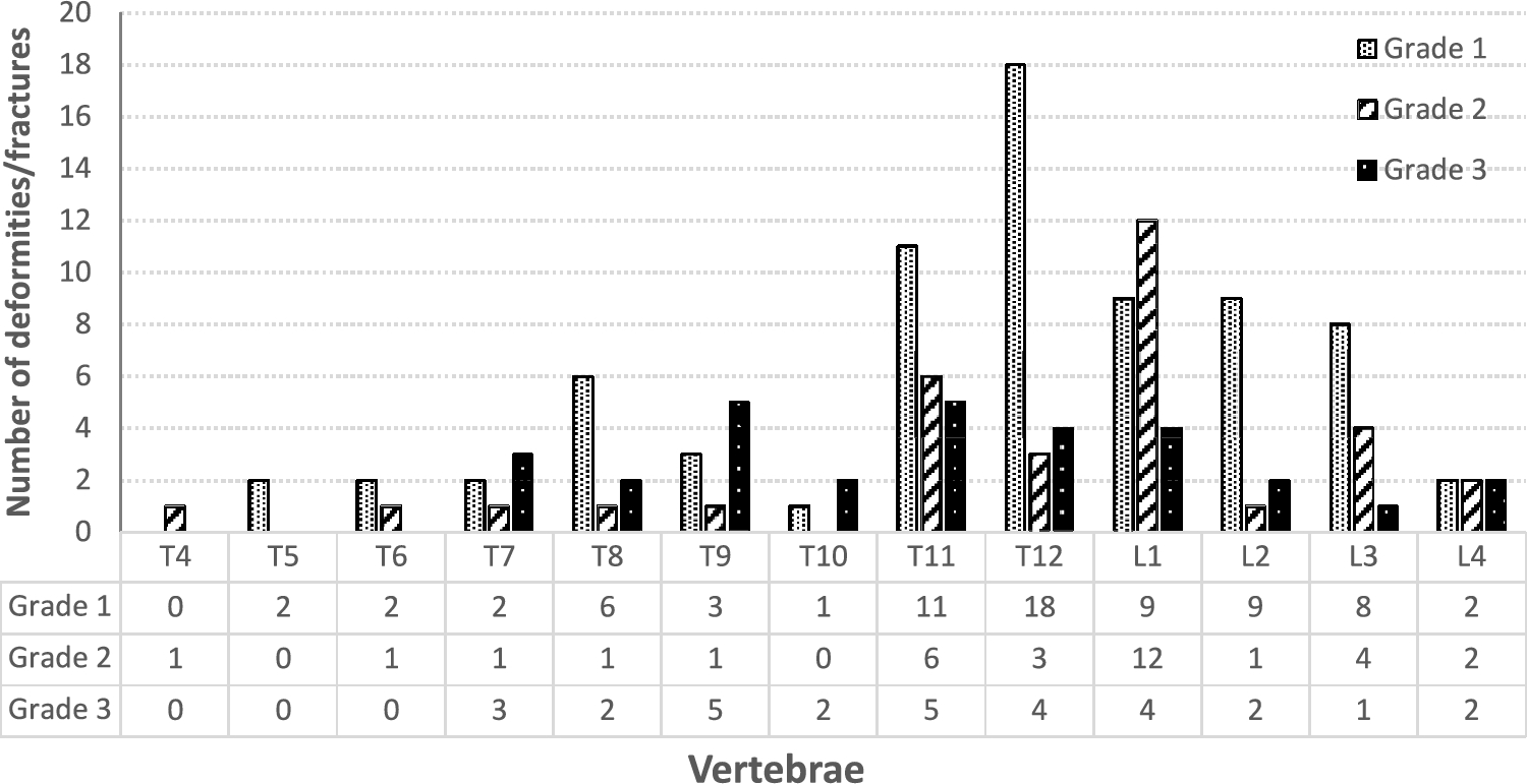Moderate-to-High 5-Year Cumulative Disease Activity and Lower Bone Mineral Density at the Proximal Femur are Major Predictors of Fragility Fractures in Women with Longstanding Rheumatoid Arthritis: An Observational Cohort Study