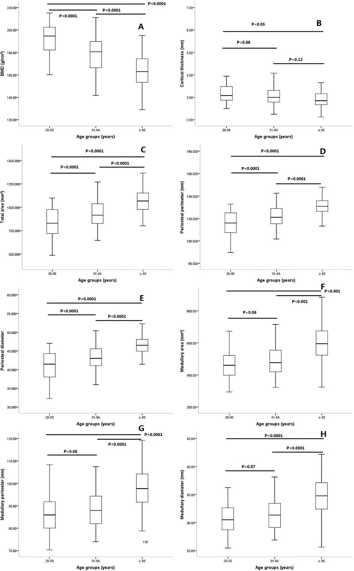 Quantitative Computed Tomography-Based Analysis of Bone Structure in the Surgical Neck of the Humerus during Aging in Men