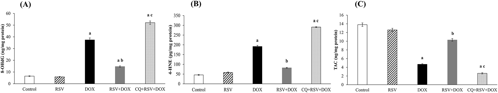A novel cardioprotective mechanism of rosuvastatin: restoring PINK1/parkin-mediated mitophagy via SIRT1/FOXO1 activation in doxorubicin-induced cardiotoxicity