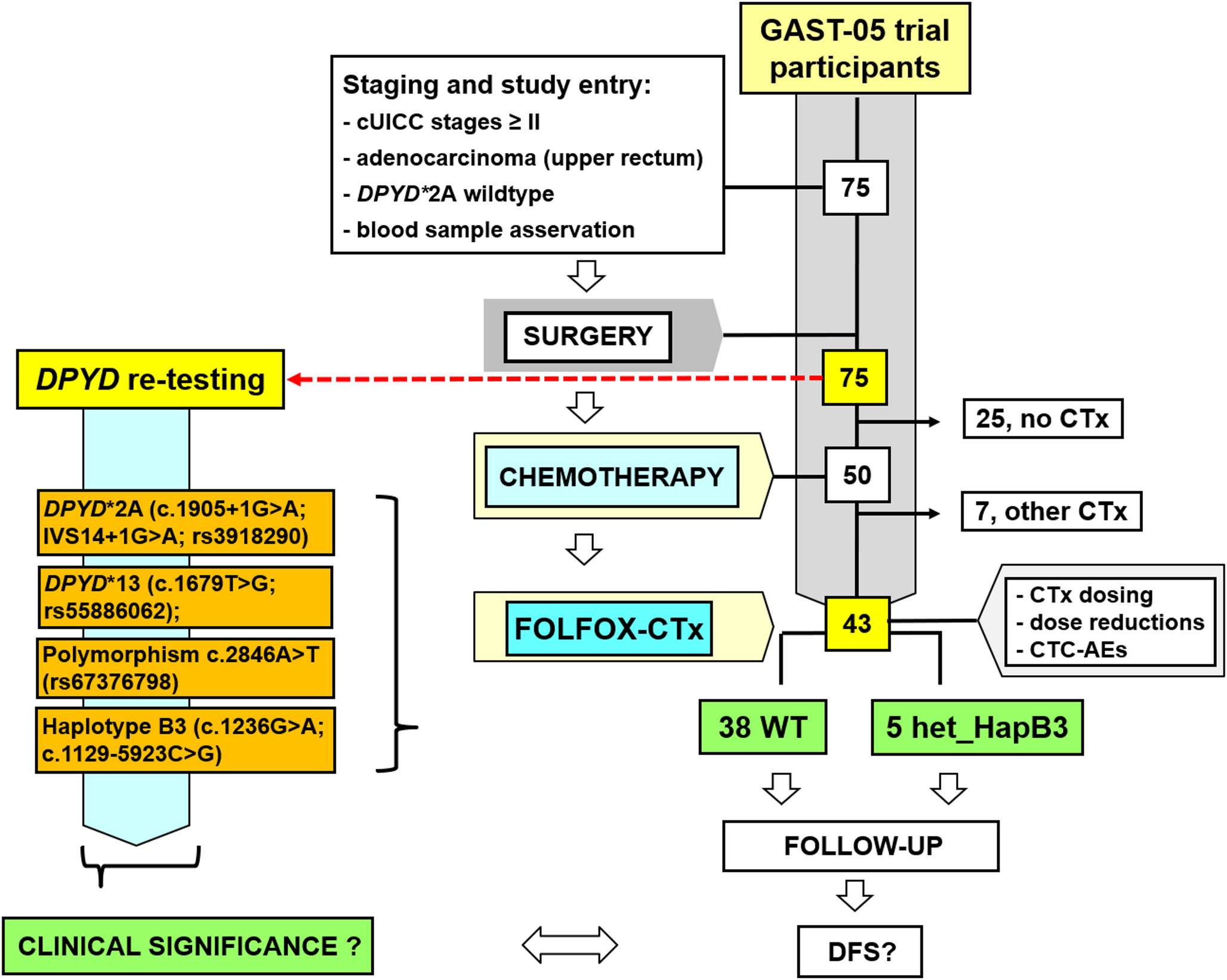 Unrecognized mutations in  2 A wild-type rectal cancer patients receiving postoperative 5-FU-based chemotherapy - do they have a clinical impact?