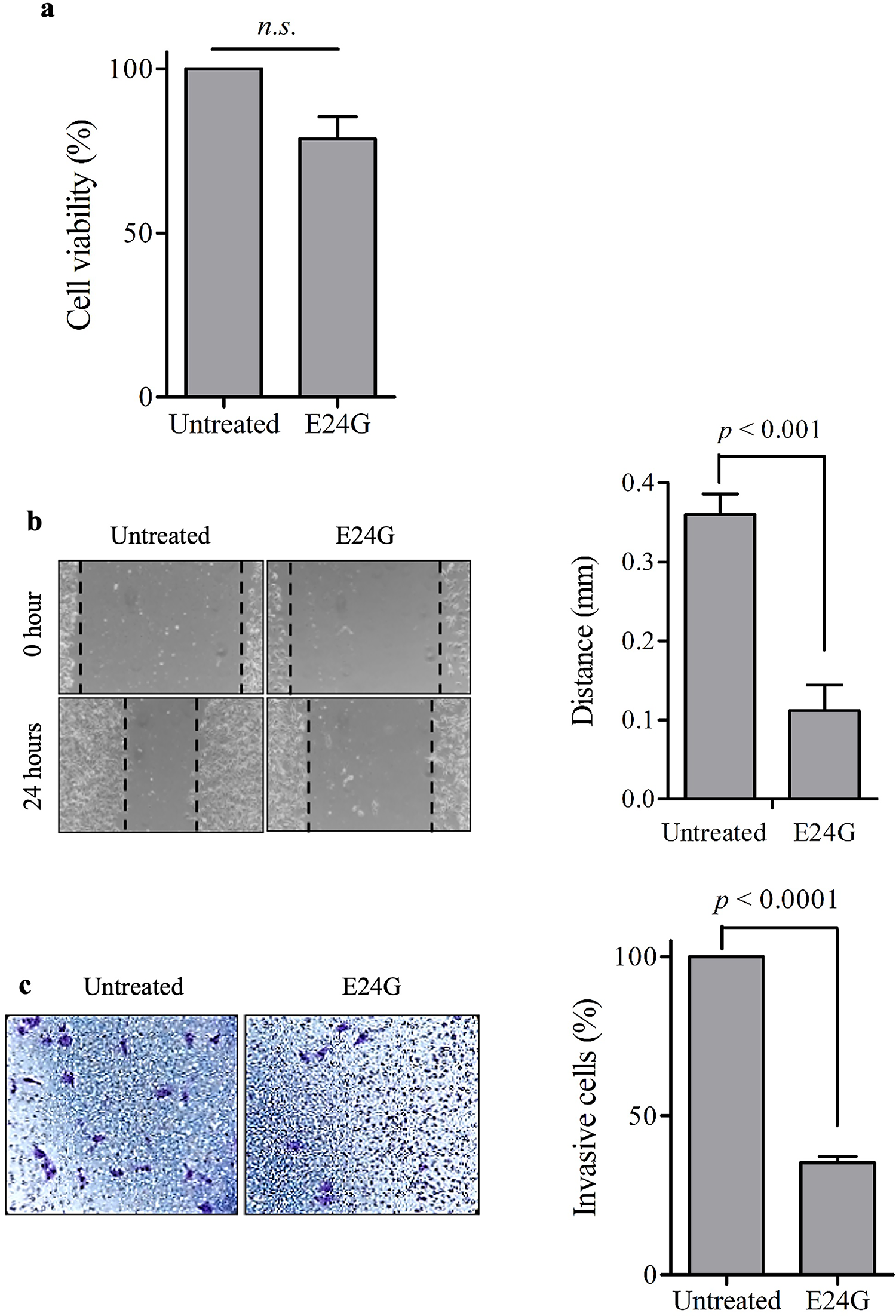 Peptides derived from the POU domain of BRN2 show antitumor activity against murine melanoma model cells in vitro and in vivo