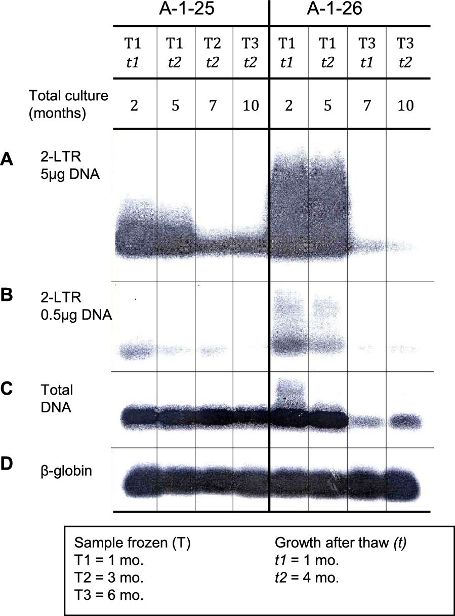 t-RNA mediates provirus deletion in HIV-infected cells