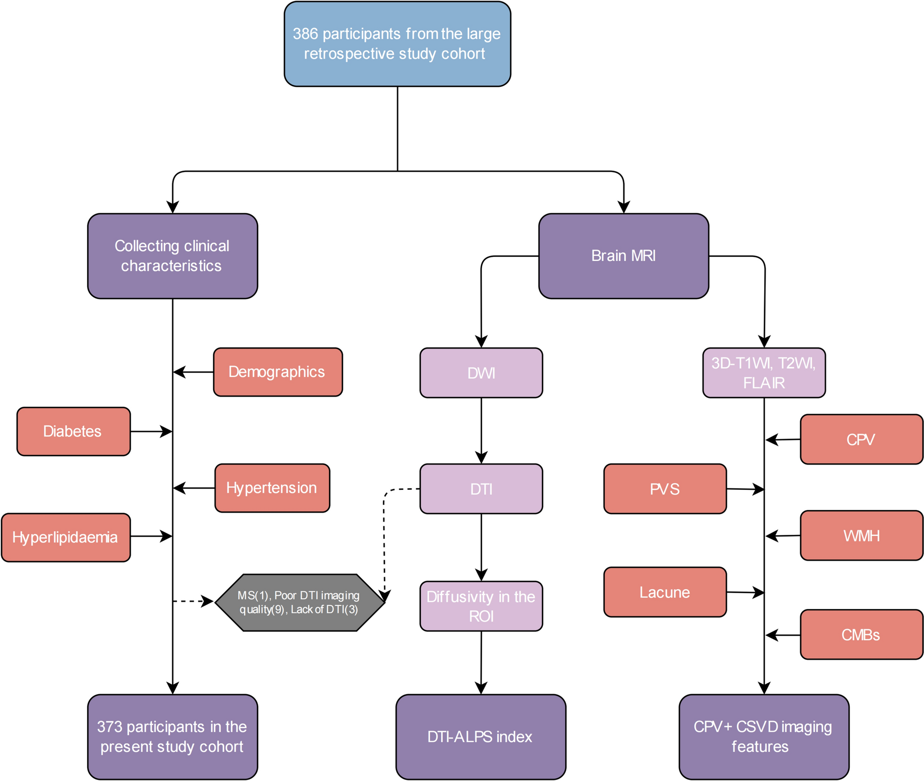Exploring cerebral small vessel disease, choroid plexus, demographics and vascular risk factors that affect glymphatic function