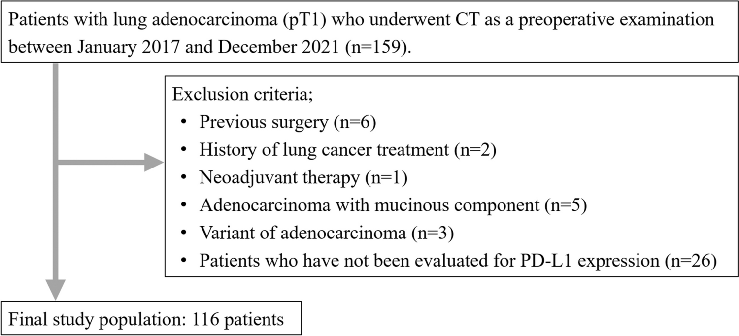 Quantitative CT analysis for predicting the PD-L1 expression in lung adenocarcinoma