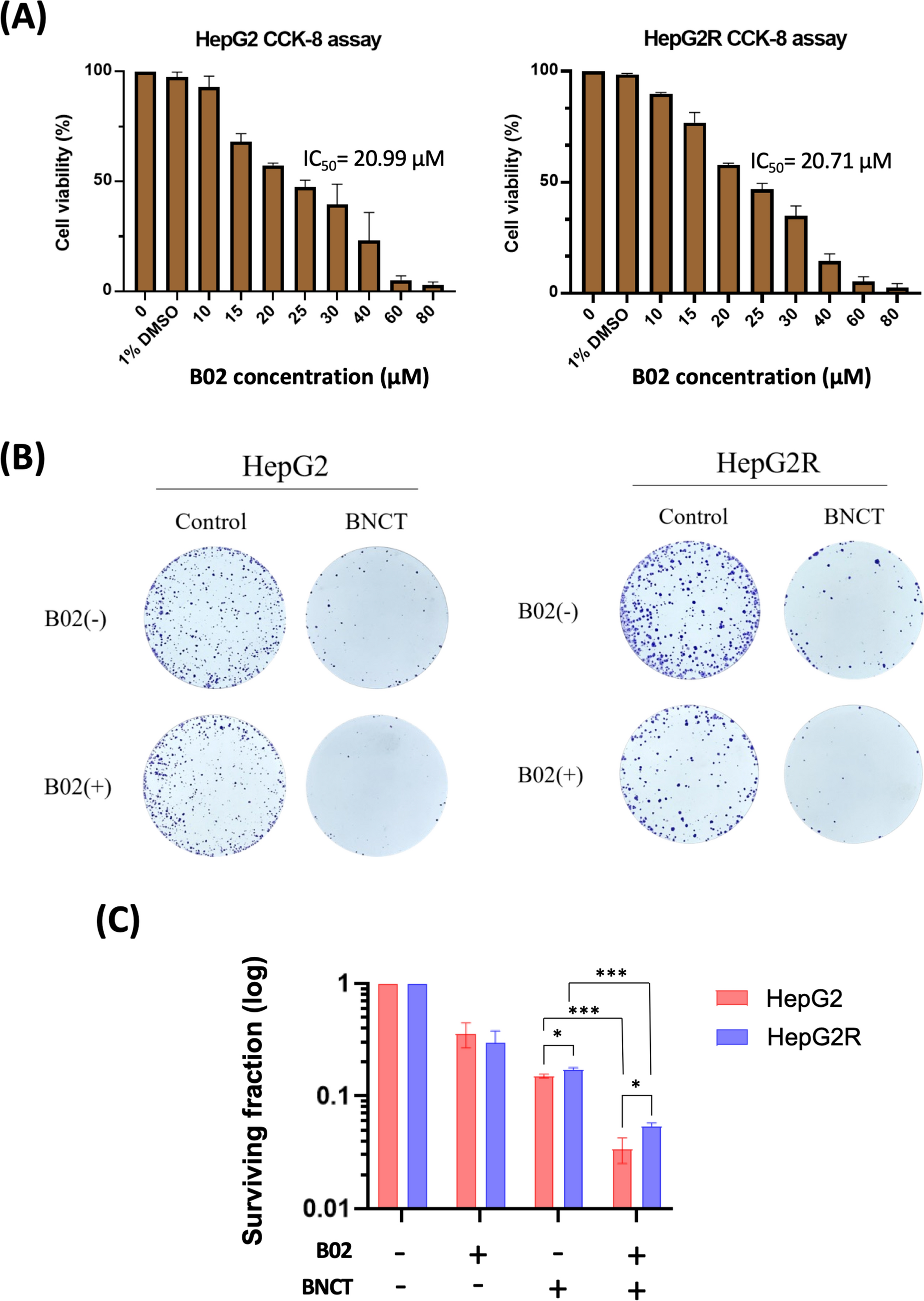Enhancing radiosensitivity of boron neutron capture therapy for liver cancer with homologous recombination repair inhibitor