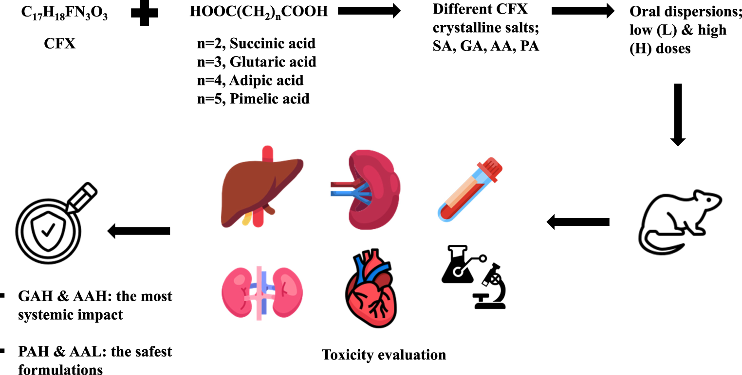 Toxicity Assessment of Oral Liquid Formulations of Novel Ciprofloxacin-Dicarboxylic Acid Salts in Female Albino Rats: Haematological, Biochemical, and Histopathological Parameters