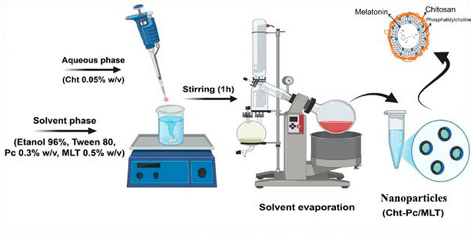 Enhancing Doxorubicin Efficacy with a Novel Lipid-Polymer Nanosystem Containing Melatonin: Formulation, Characterization and in Vitro Study