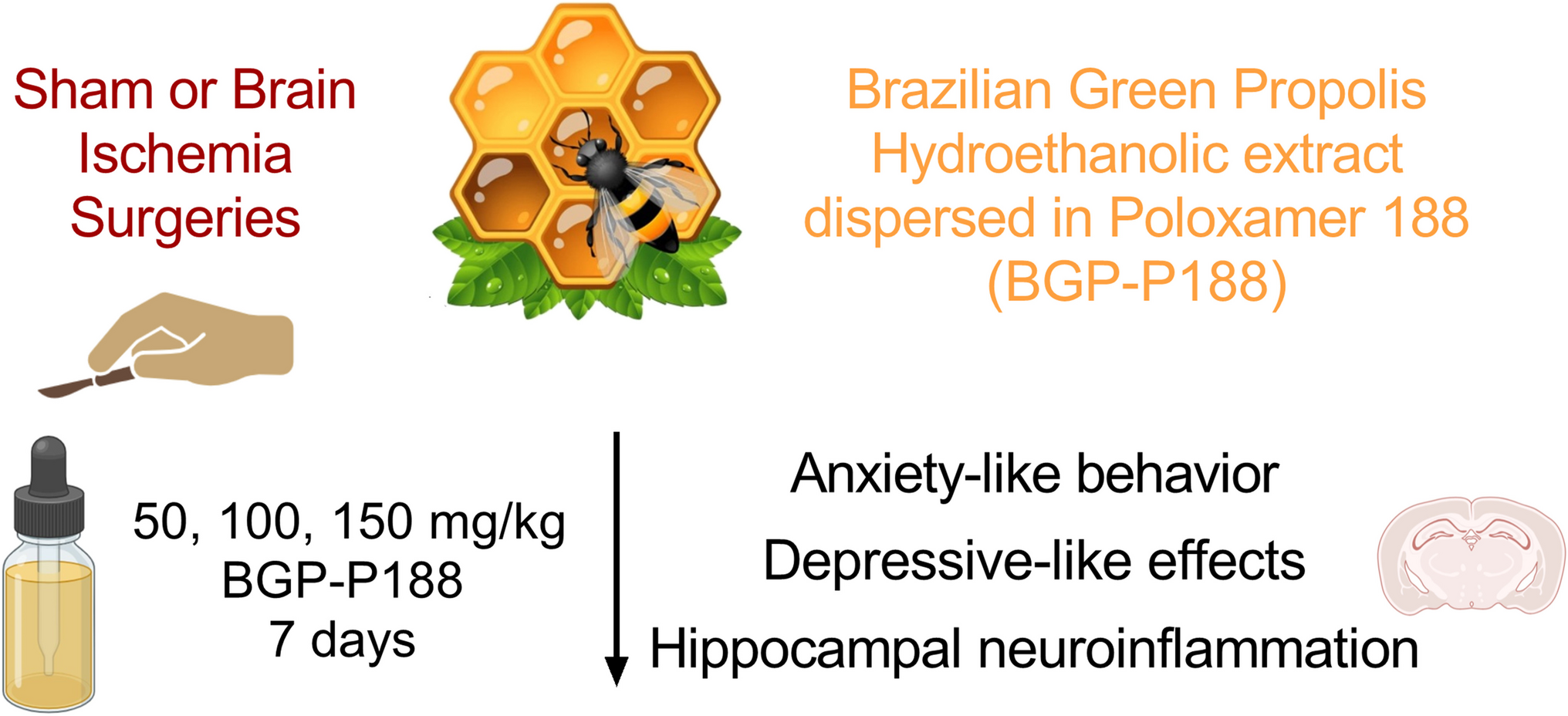 Dispersion of Brazilian Green Propolis Extract in Poloxamer 188 Improves Depression-Like Behavior and Neuroinflammation in Mice Subjected to Transient Global Cerebral Ischemia