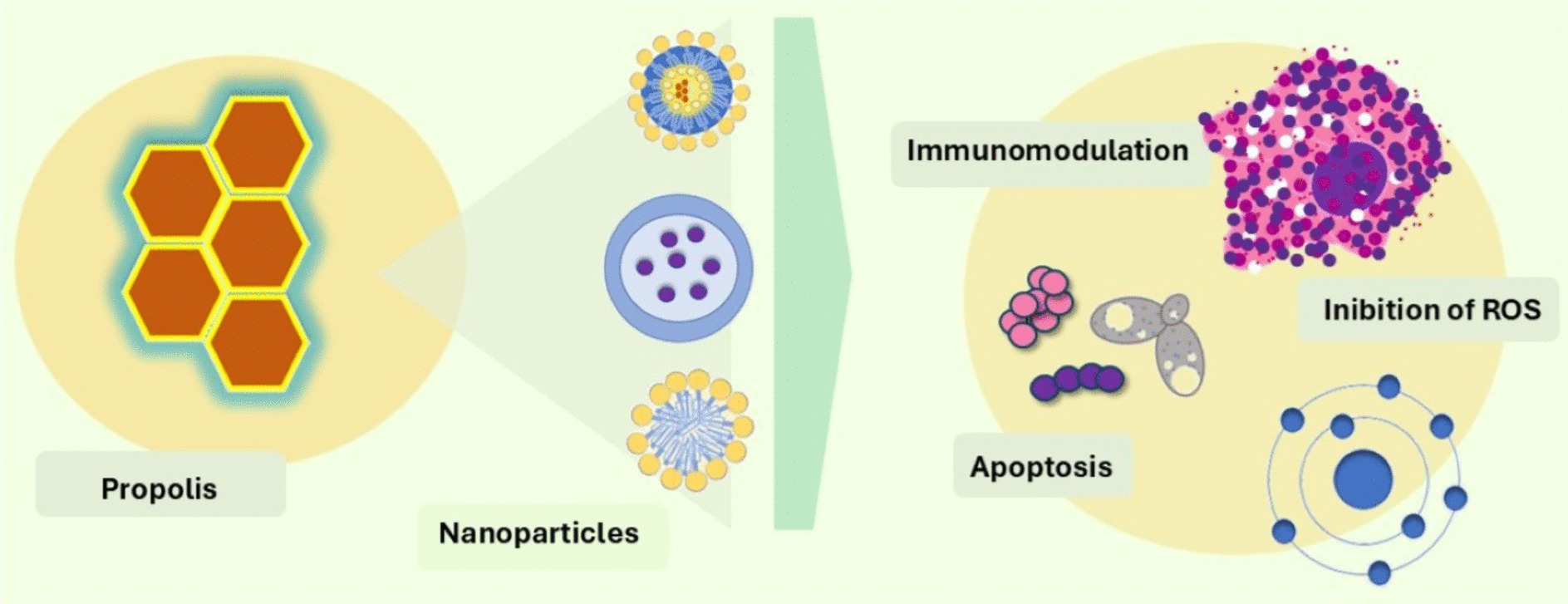 Nanostructured Delivery Systems Can Improve Propolis Antimicrobial Potential