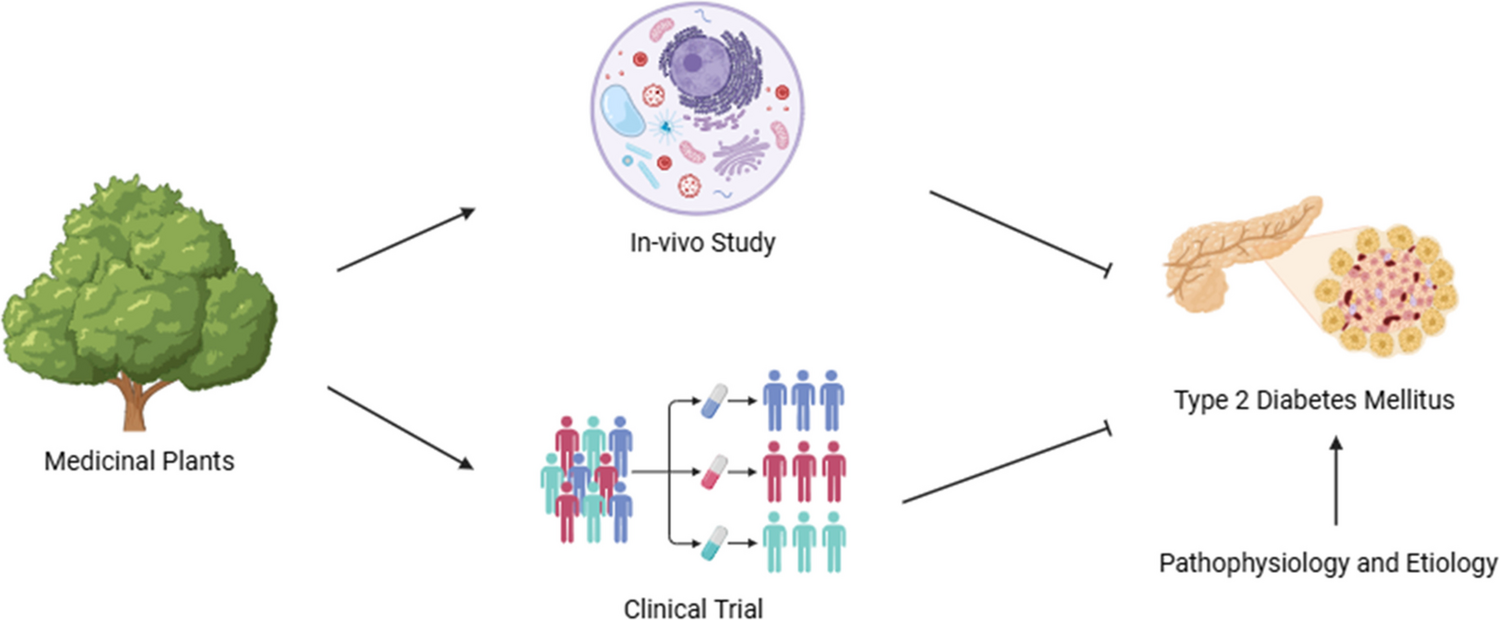 A Systematic Assessment of the Plausible Role of Herbal Plants in Diabetes Mellitus