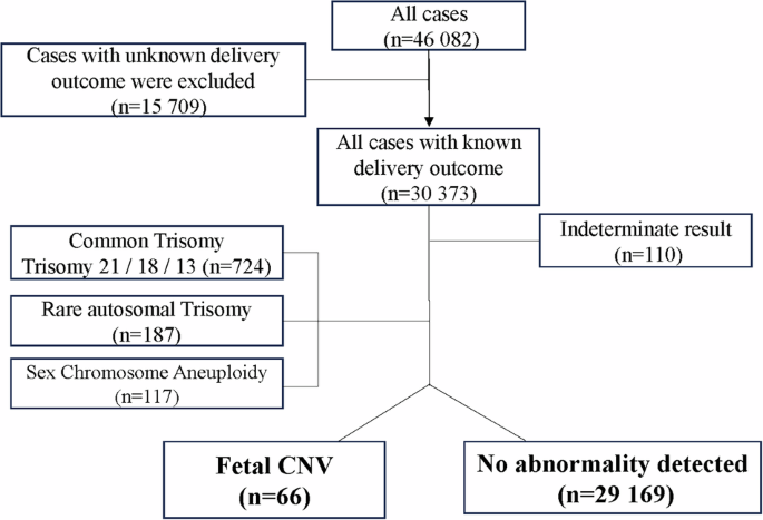 Perinatal outcomes of fetal CNVs detected by genome-wide non-invasive prenatal testing in Japan