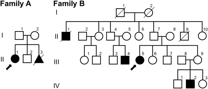 Balanced chromosomal insertions as the mechanism of recurrent familial microstructural abnormalities: detailed analyses using long-read whole-genome sequencing