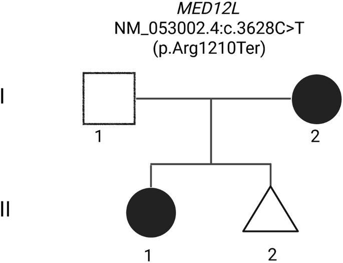 Evidence of maternal inheritance of Nizon-Isidor syndrome in an individual with GAMT and TNFRSF13B sequence variants