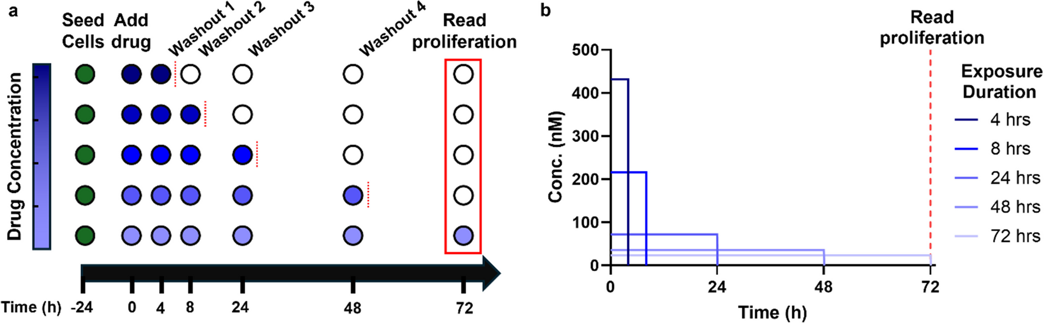 Identification of oncology pharmacokinetic drivers through in vitro experiments and computational modeling
