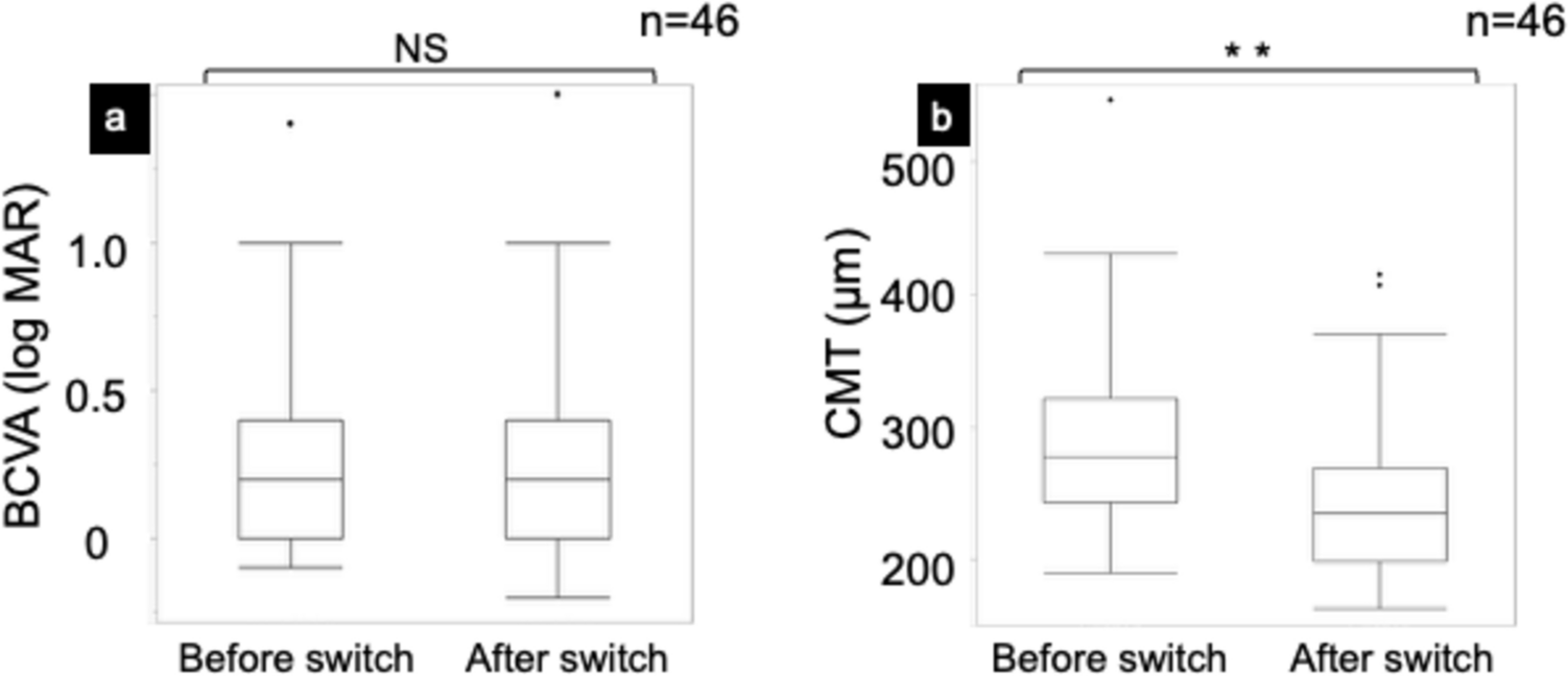 Switching to faricimab alleviates persistent subretinal fluid and pigment epithelial detachment in neovascular age-related macular degeneration