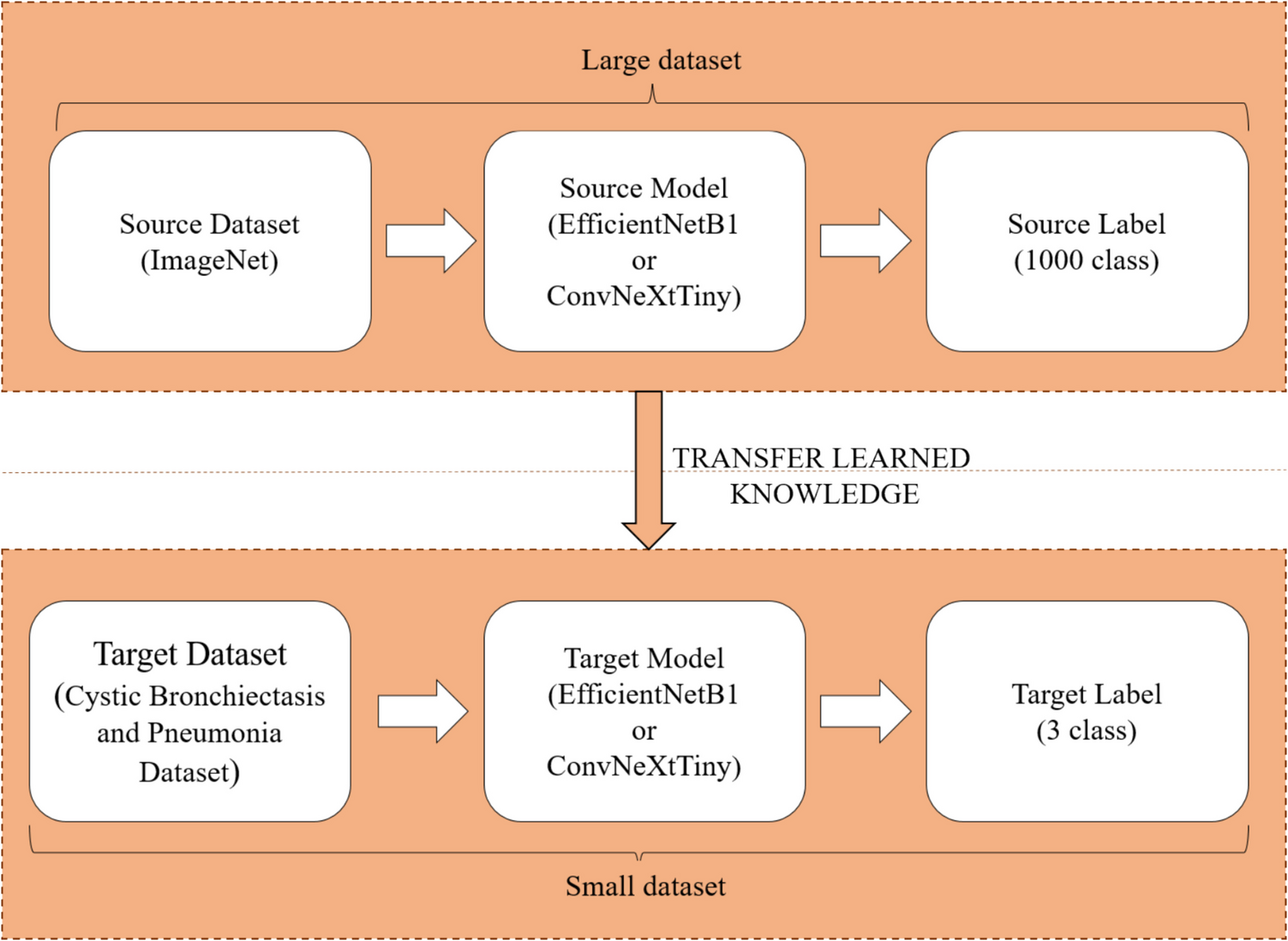 A Deep Learning-Based EffConvNeXt Model for Automatic Classification of Cystic Bronchiectasis: An Explainable AI Approach