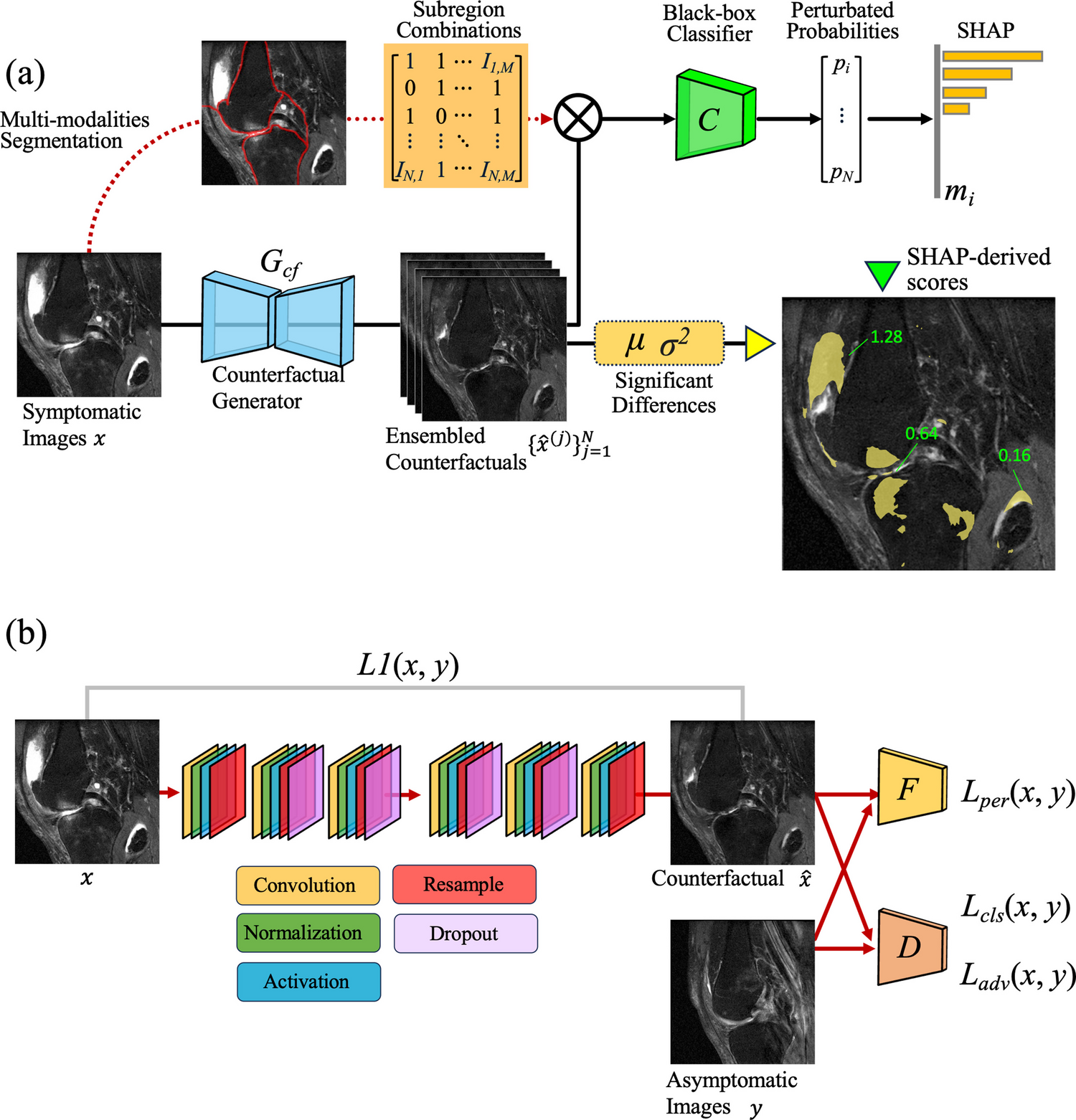 Localizing Knee Pain via Explainable Bayesian Generative Models and Counterfactual MRI: Data from the Osteoarthritis Initiative