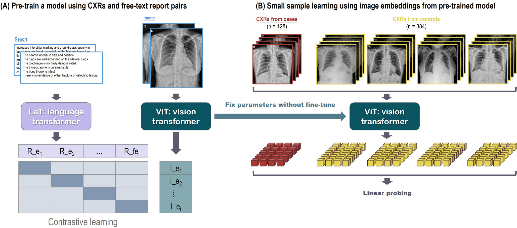 A Pretraining Approach for Small-sample Training Employing Radiographs (PASTER): a Multimodal Transformer Trained by Chest Radiography and Free-text Reports