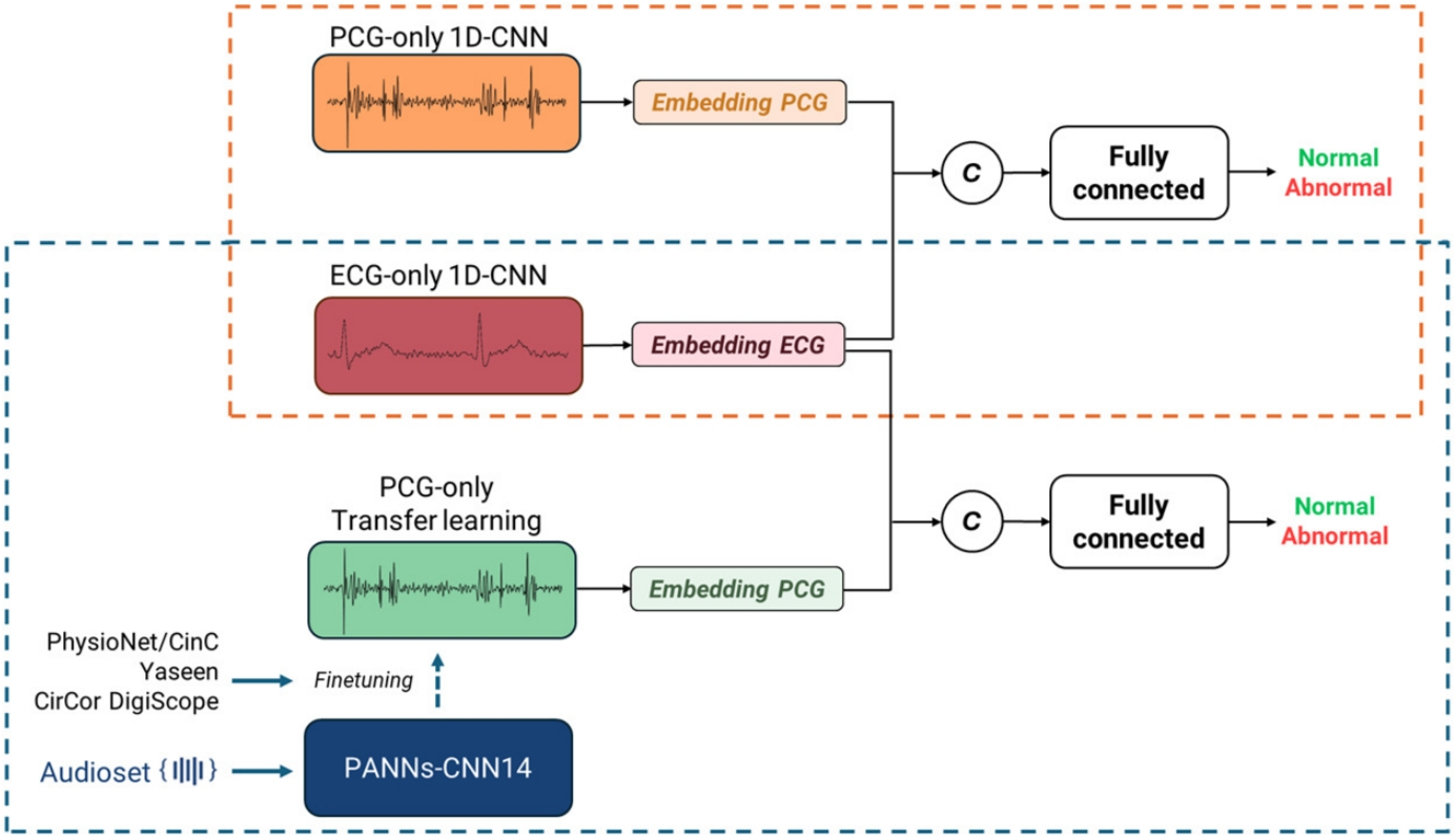 Bimodal ECG and PCG Cardiovascular Disease Detection: Exploring the Potential and Modality Contribution