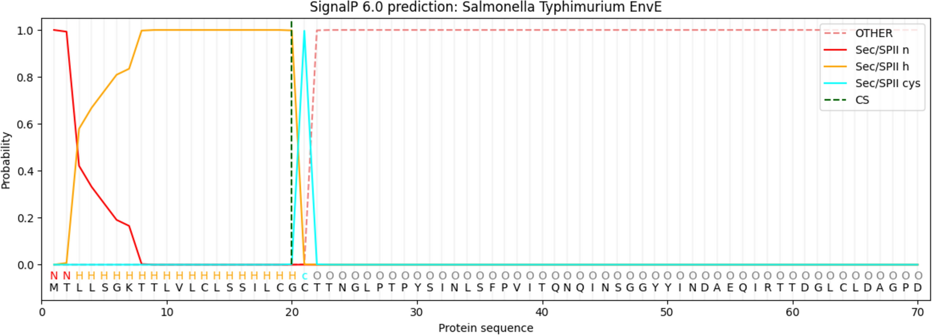 The  EnvE is an Outer Membrane Lipoprotein and Its Gene Expression Leads to Transcriptional Repression of the Virulence Gene