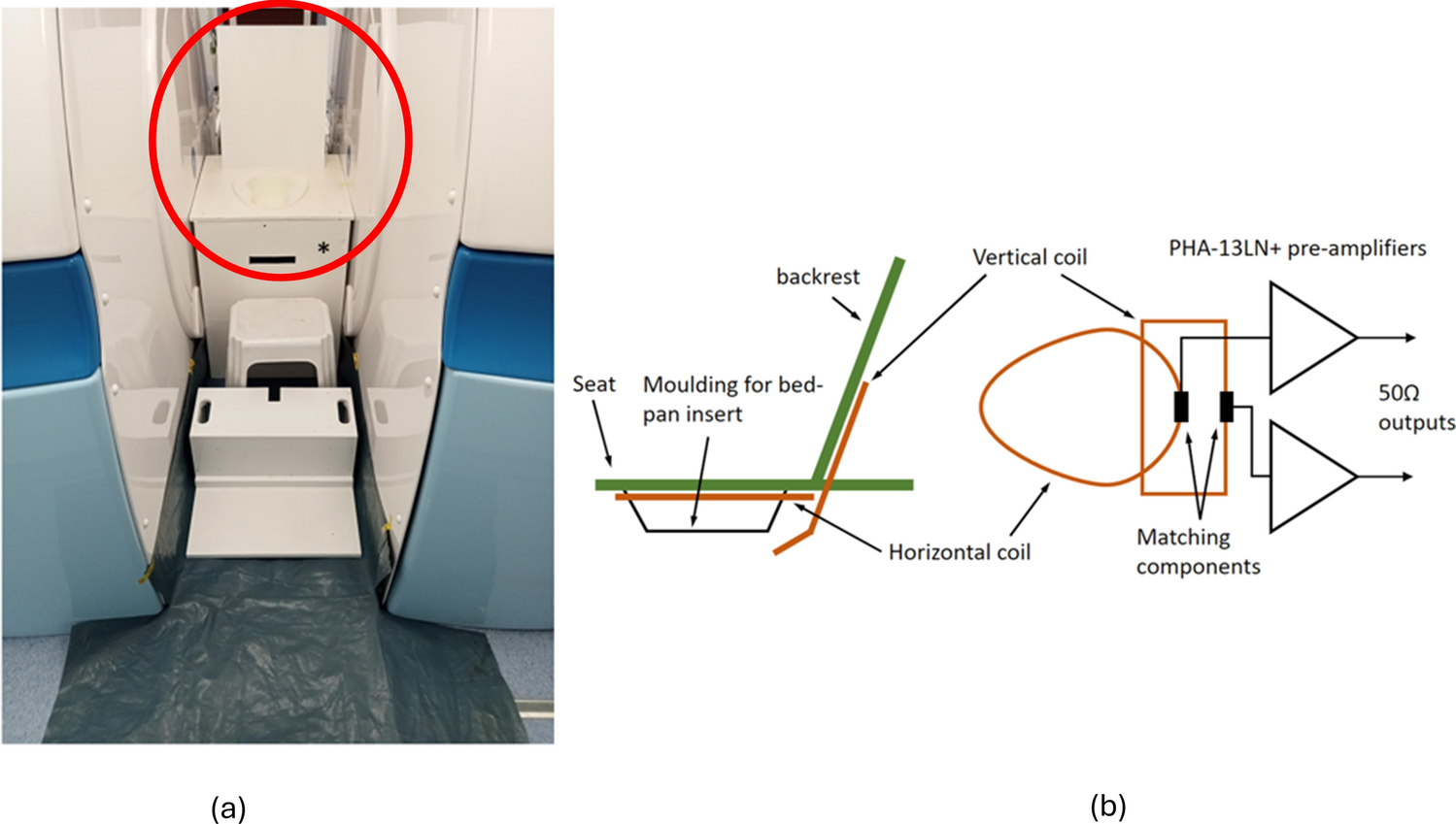 Upright 0.5 T open MR defaecating proctography proof of concept study: the inter- and intra-rater variability of pelvic floor measures using seated proctography