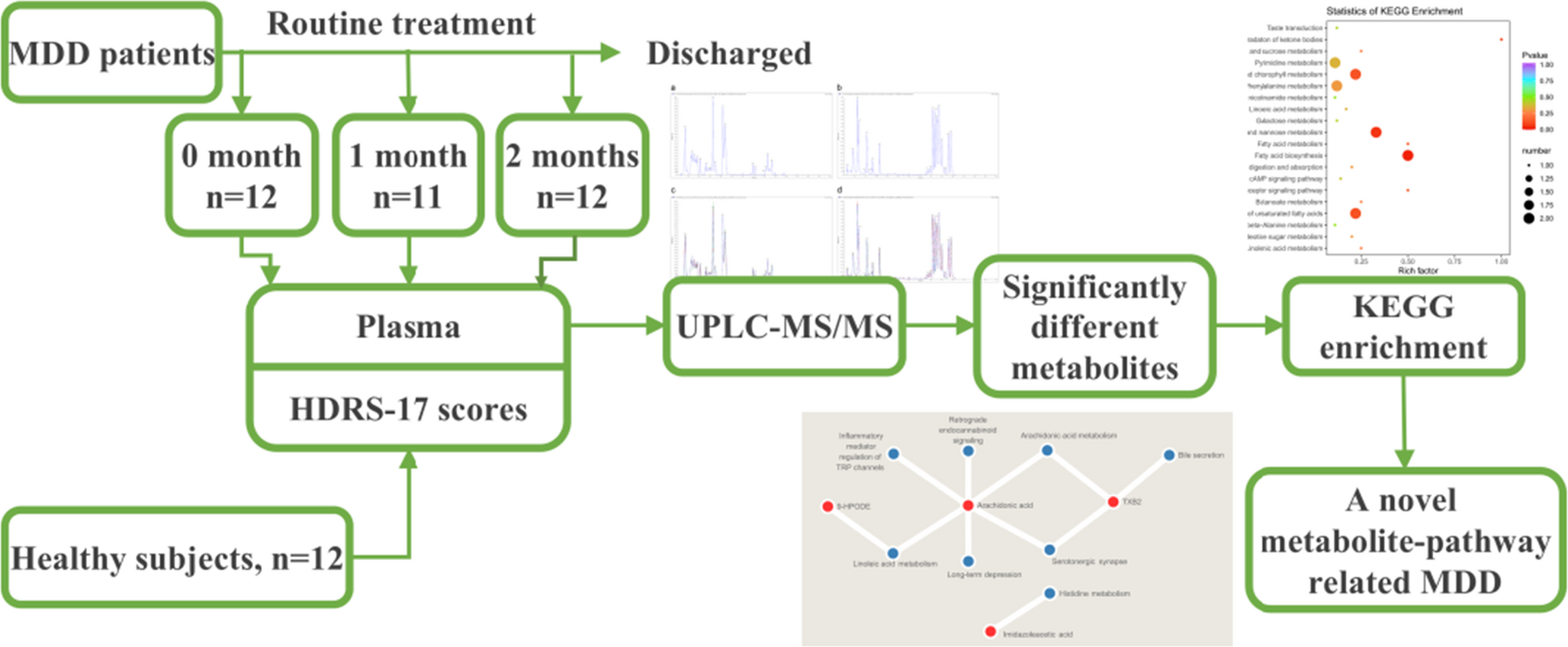 Transformations in plasma metabolic profiles of patients with major depression disorder during treatment