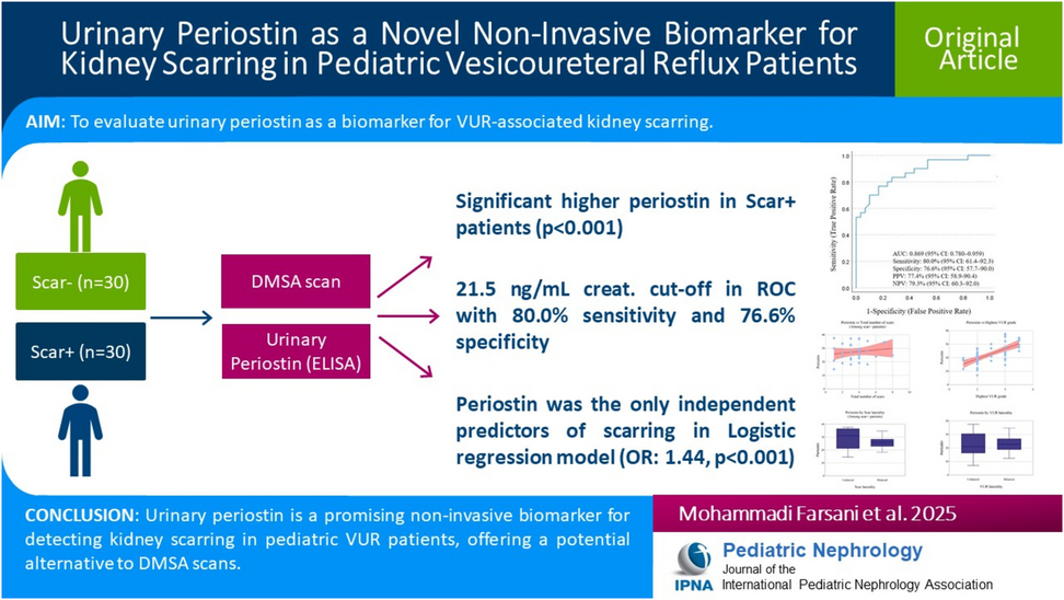 Urinary periostin as a novel non-invasive biomarker for kidney scarring in pediatric vesicoureteral reflux patients