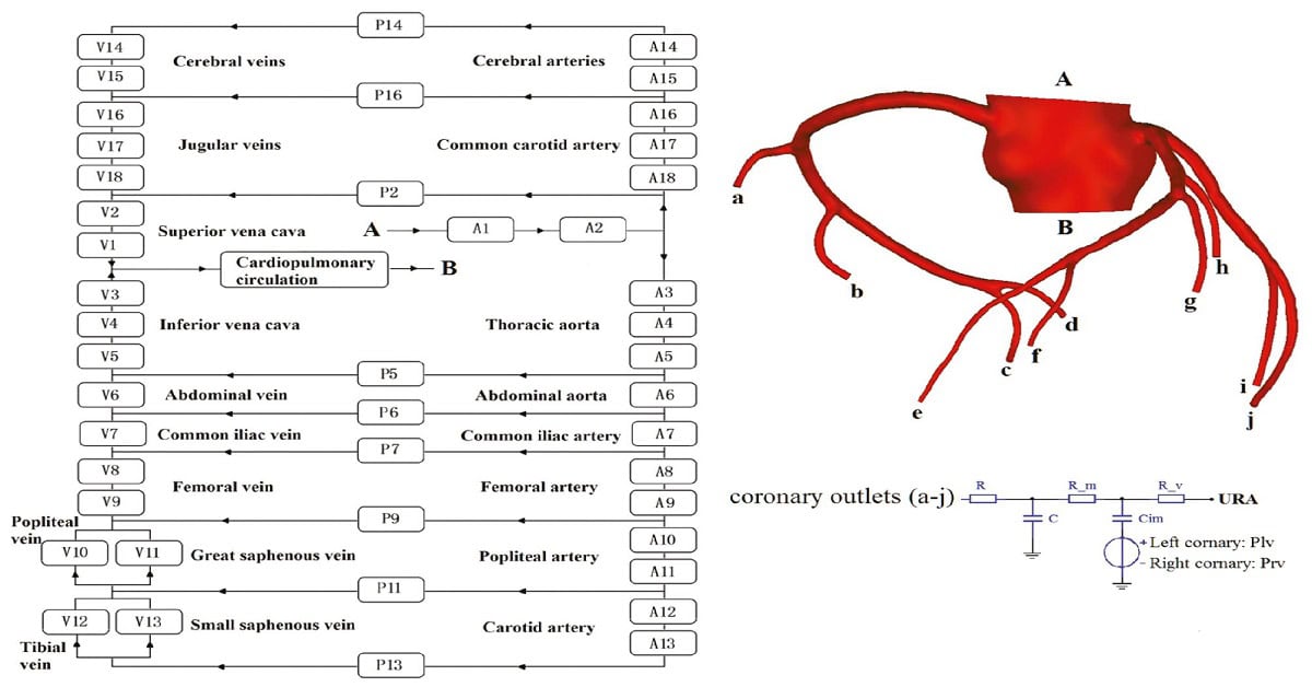 Hemodynamic Evaluation of an Enhanced External Counterpulsation Strategy for Coronary Heart Disease with a Geometric Multiscale Model