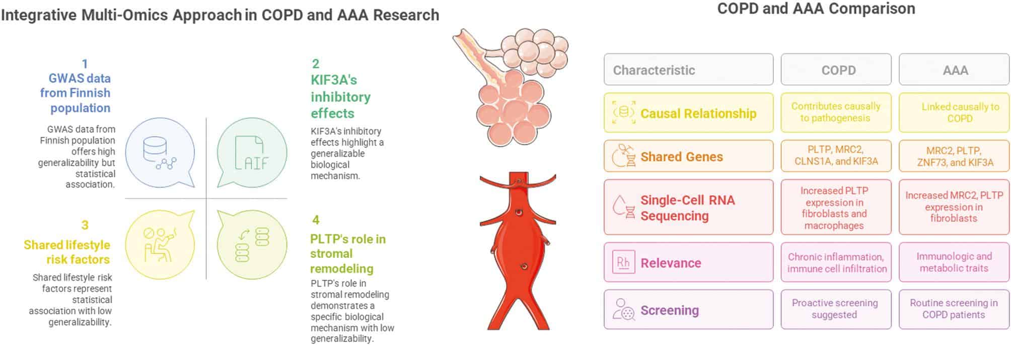 Multi-Omics Exploration of Risk Factors and Pathways Linking Respiratory Conditions and Abdominal Aortic Aneurysm