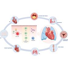 Type 2 Inflammation: A Potential Clinical Link Between Asthma and Cardiovascular Diseases