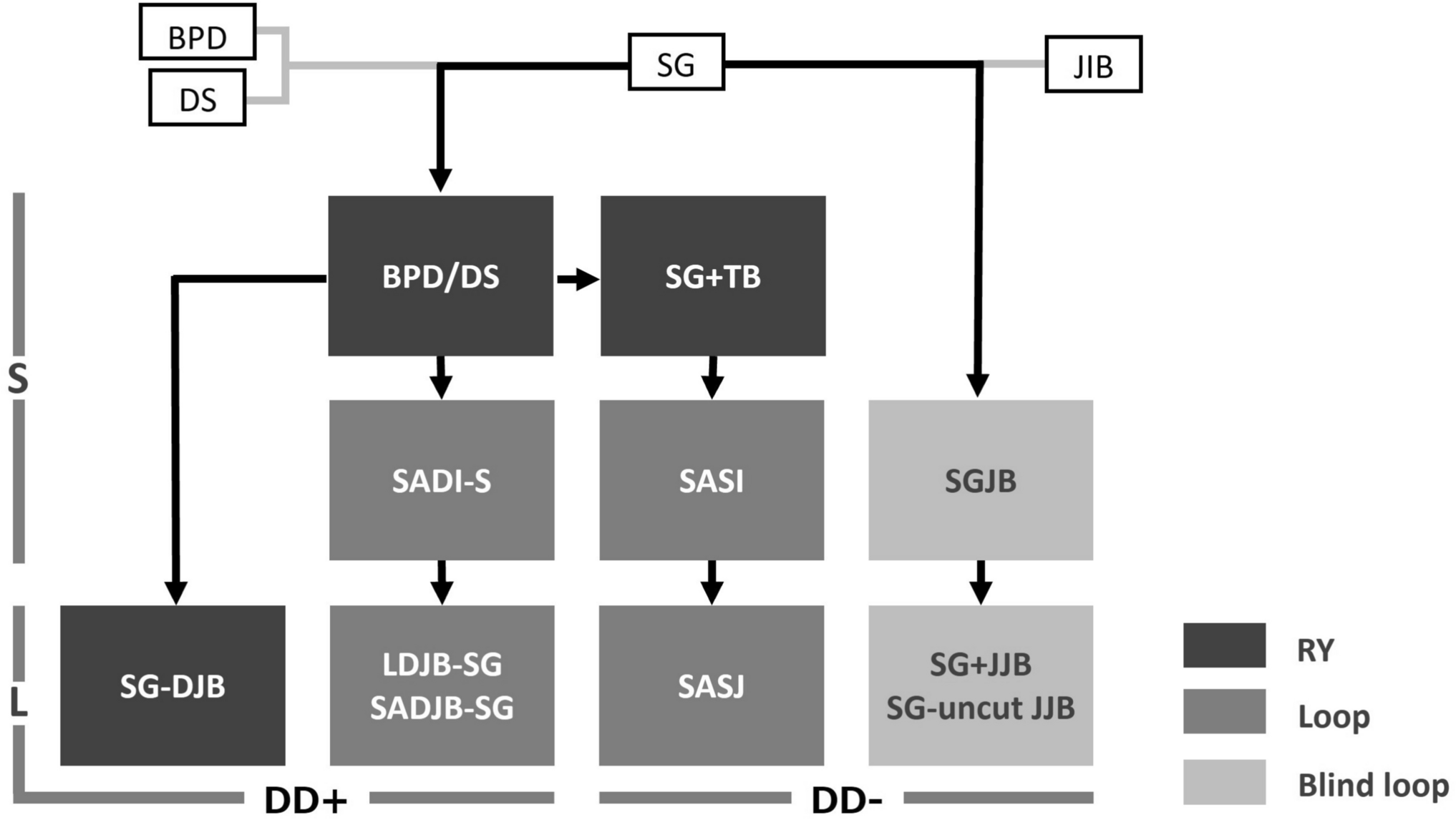 Sleeve Plus Procedures: A Review of Technical Evolution Along a Schematic Diagram