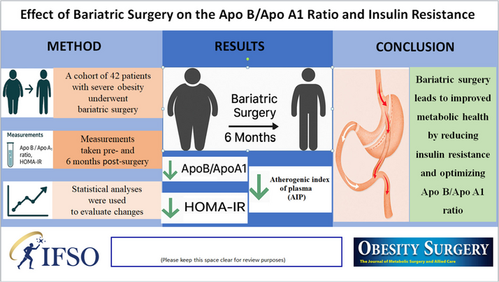 Effect of Bariatric Surgery on the Apolipoprotein B/Apolipoprotein A1 Ratio and Insulin Resistance