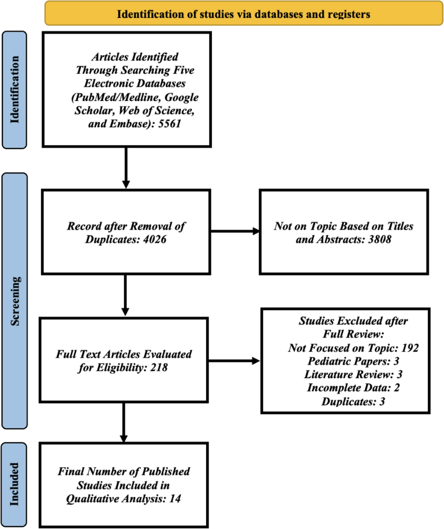 Traumatic brain injury among American indians/alaska natives in the united states: a comprehensive systematic review of the literature