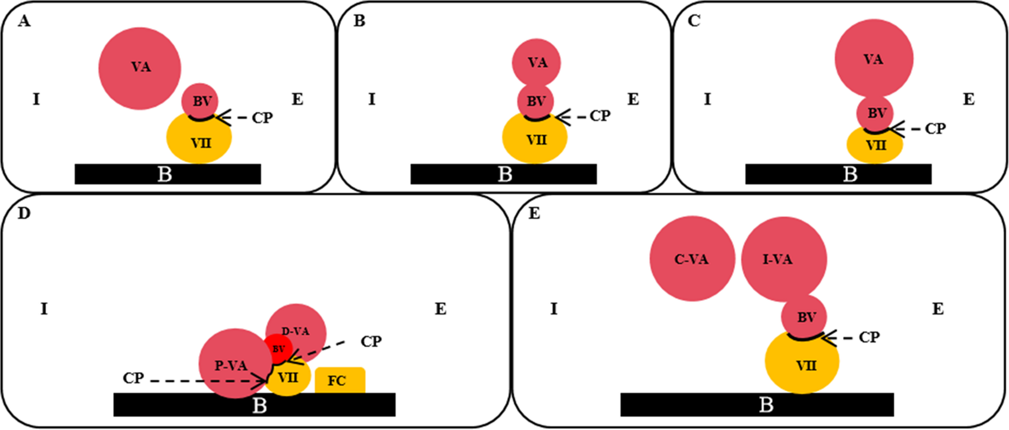 Compression-specific treatment strategies for vertebroarterial-involved hemifacial spasm: A single-centre retrospective analysis of surgical techniques