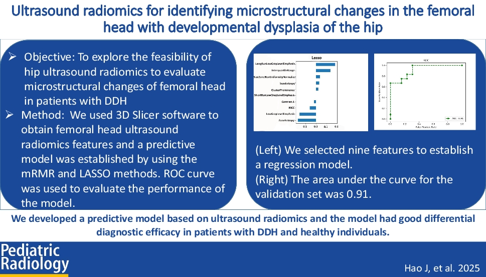 Ultrasound radiomics for identifying microstructural changes in the femoral head with developmental dysplasia of the hip