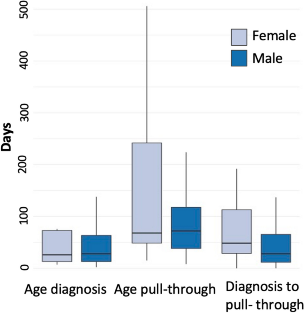Exploring potential sex differences in Hirschsprung disease: a national cohort study of diagnostic patterns and early postoperative outcome